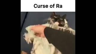 Curse of Ra