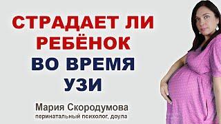 Как УЗИ влияет на ребенка при беременности? Вредно ли УЗИ?