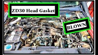 Dealing With A Blown Zd30 Head Gasket - Tips And Solutions!