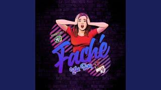 Litleboy faché (Radio Edit)