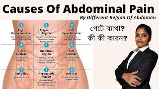 Abdominal Pain In Bengali | Differential  Diagnosis Of Abdominal Pain | Types | Causes | Areas