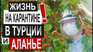 Турция: ЖЕСТКИЙ КАРАНТИН. Где мы живем? Что происходит в городе. Цены на рынке. Наш район в Аланье