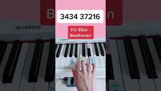 Für Elise - Beethoven (Piano Tutorial) #fürelise #furelise #beethovenpiano #easypianotutorial