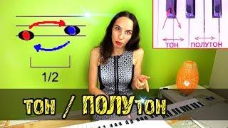 Что такое Тон и Полутон? Строение мажорной гаммы