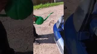 Поливайте свое авто чтобы расло здоровое) #shorts #автохакер