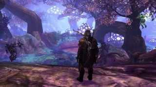 Neverwinter Sprite Companion Trailer