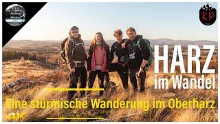 ↟ ↟ HARZ im Wandel | Eine stürmische Wanderung im Oberharz | HWN Stempeljagd | 4K HDR