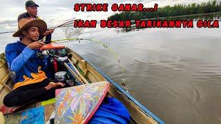 Strike Di Sarang Ikan Predator | Mancing Muara