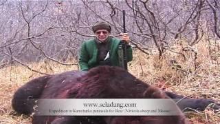 OURS BROWN BEAR HUNTING (Chasse) KAMCHATKA RUSSIA by Seladang