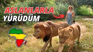 Senegal'de Bir TÜRK KADIN Youtuber! ASLANLARLA YÜRÜDÜM! (YouTube Türkiye'de İLK!)