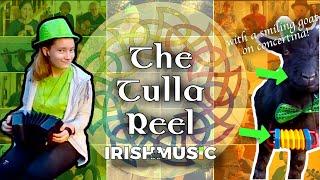 Global Irish Music Session Tune #22 | The Tulla Reel  ️