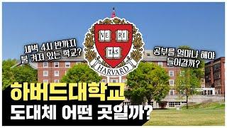 세계에서 가장 유명한 하버드대학교  도대체 어떤 곳일까?