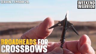 Which Broadhead You Should Use With Your Crossbow