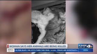 Woman Says Her Animals are Being Killed