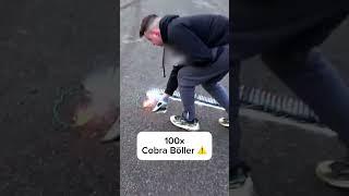 100x Cobra Böller 