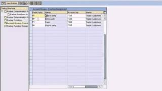 SAP Define Partner Functions