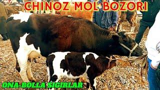 CHINOZ MOL BOZORIDA ONA -BOLA SIGIRLAR 