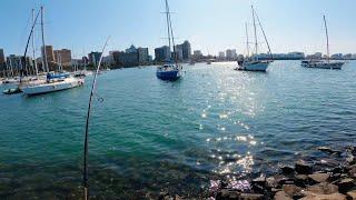 Fishing Durban Harbour