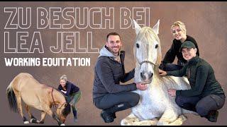 BESUCH BEI @LeaJellWorkingEquitation - Freiarbeit und Aufsteigen ohne Sattel und Hilfe!  ️