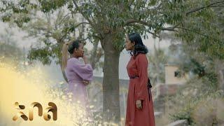 አደይ እና ራሄል ይጣላሉ – አደይ | ምዕራፍ 5 | ክፍል 60 - 64 | አቦል ቲቪ