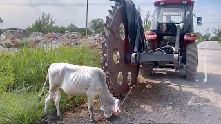 Modern Agriculture Machines And Tools That Are At Another Level