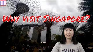 Why visit Singapore? 