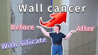 Step by step demonstration of how to deal with wall cancer with silicate  pirate-king studio