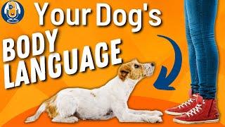 Dog Body Language: Understanding Canine Communication Signals And Emotions #157 #podcast