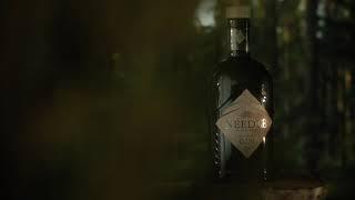 Virtual Production Spec Ad | Needle Gin