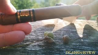 Umnum Honduras Robusto Zigarren Review