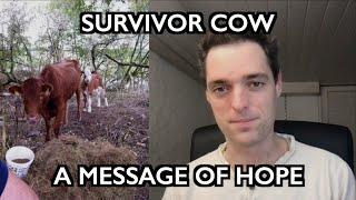Survivor Cow: A Message of Hope