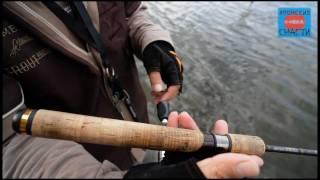 Обзор спиннингов для ловли форели Nories TROUT PROGRAM SPIKE ARROW.