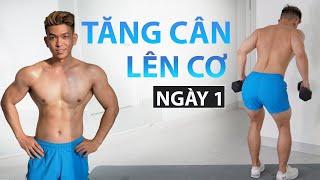 UP SIZE NGỰC VAI TAY CHO NGƯỜI KHÓ LÊN CÂN | CHẾ ĐỘ TẬP TẠNG NGƯỜI ECTOMORPH