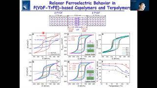 Webinar Ferro/Piezoelectric Polymers - 03/02/21 - Lei ZHU (Case Western Reserve University, USA)