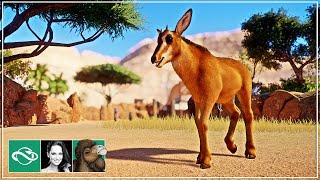  Sable Antelope offspring | Management | Desert Franchise Mode | Planet Zoo |