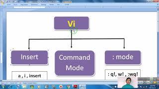 STD-11 Computer Chapter-7 Vim Editor and Basic Scripting Bharat Sir