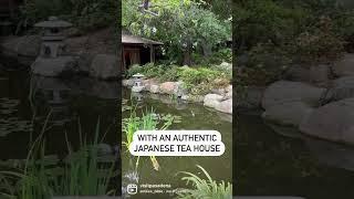 Explore Storrier Stearns Japanese Garden in Pasadena