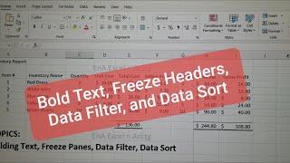 Excel Vid2: How to & Uses of Bold Text, Freeze Headers, Data Filters, Data Sort.