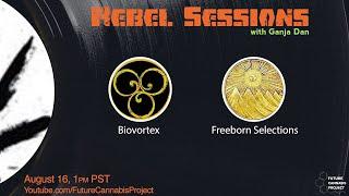 Rebel Sessions: Episode 01