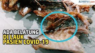 Kata Dinkes soal Viral Belatung di Lauk Makan Siang Pasien Covid-19