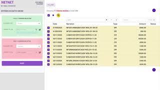 Process multiple bank entries at once using NetNet