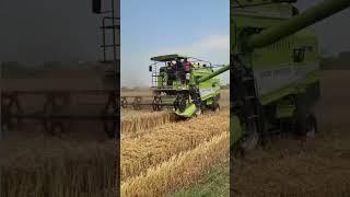 #edit #harvesting #jhondeeretractor #combineharvester #farmer #shortsongs #combine #viral