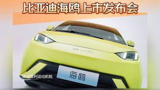 10 万内新爆款！比亚迪海鸥上市发布会 BYD Seagull launch conference 纯电EV小型车