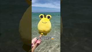 I LEFT LEMMY AT THE BEACH FOR 48 HOURS! ️ *rip squishy fidget*