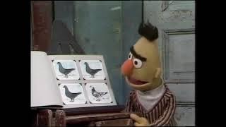 Classic Sesame Street - Bert Sings One Of These Pigeons 1975