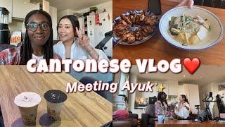 EATING HK TAMJAI NOODLES (譚仔米線) WITH AYUK | Cantonese vlog (eng sub)