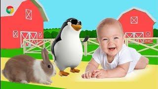 Best Animals for Baby to Talk Quickly - Teach Your Baby to Learn Online