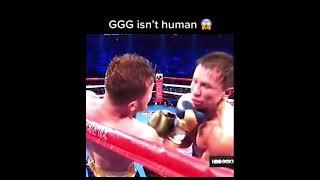 GGG  isn’t human #shorts #boxing #ggg 