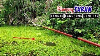 TRAGIS.!! Joran ku terseret berkali² mancing di rawa ini #PR-73