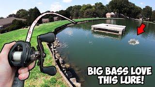 THROW THIS LURE to catch MONSTER BASS RIGHT NOW! (Best Bass Lure)